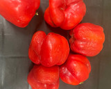 Foto del paso 1 de la receta: Pimientos Rojos rellenos! Rico almuerzo keto!
