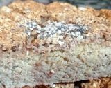 Foto del paso 5 de la receta: Budín de Lentejas