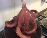 Foto del paso 2 de la receta Pulpo a la gallega