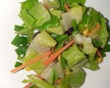 A picture of step 3 of Paneer salad with teriyaki sauce.