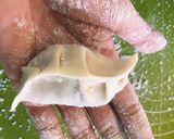 A picture of step 3 of Pork and Cabbage Dumplings (Shuijiao) + How to Cook Dumplings.