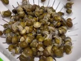 Municeddhri alla salentina