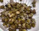 Foto del passaggio 2 della ricetta Municeddhri alla salentina
