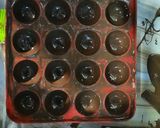 Foto del paso 9 de la receta: Bombones de chocolate