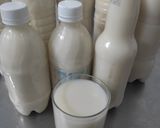 Hình bước làm 4 của món Sữa bắp đường phèn