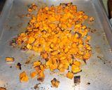 Foto del paso 5 de la receta: Crema vegana de porotos blancos con zapallo kabocha asado