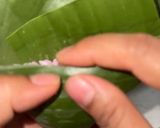 Foto langkah ke 7 dari resep Lupis Buah Naga 🩷.