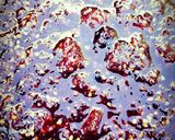 Foto del paso 4 de la receta: Mermelada de mora