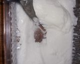 Foto del paso 3 de la receta: Golosina tita