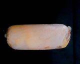 รูปขั้นตอนการทำที่ 3 ของ ไก่ม้วนแช่เหล้า (drunken chicken roll)