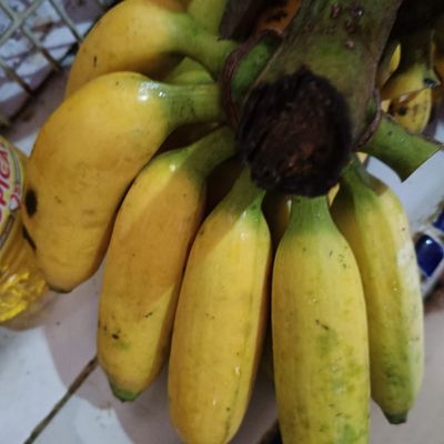 Langkah 1