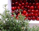 Foto del passaggio 1 della ricetta Cafloutis cerises