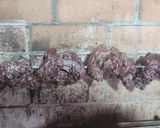 Foto del paso 9 de la receta: Huachalomo al palo