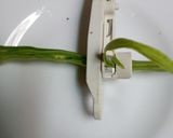 Foto del paso 1 de la receta: Porotos verdes frescos