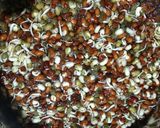 A picture of step 2 of Healthy sprouts dry vegetables (vaida).