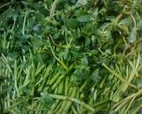 Foto del paso 3 de la receta: Verdolagas con espinazo en salsa verde