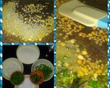 A picture of step 1 of Green Peas Suji Upma.