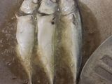 Ikan bumbu tauco medan