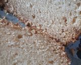 Foto del paso 3 de la receta: Budín de vainilla