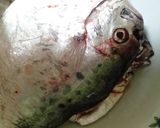 Foto langkah ke 1 dari resep Ikan tajak+terong masak touco.