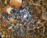 Foto del paso 4 de la receta Paella de verduras