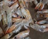 Foto langkah ke 2 dari resep Kaldu udang bubuk.