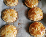 Foto del paso 9 de la receta: Empanadillas de pollo y verduras
