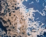 Foto langkah ke 1 dari resep Kukus/pepes tahu kemangi.