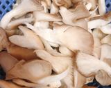 Hình bước làm 1 của món Bún Bò Chay