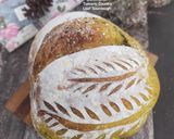 Foto langkah ke 7 dari resep Tumeric Country Loaf Sourdough.