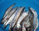 Foto langkah ke 2 dari resep Ikan Shisamo (Ikan Capelin) Goreng Krispi.