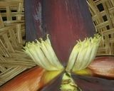 A picture of step 2 of How to Prepare Banana Blossom/Flower.