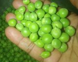 A picture of step 1 of Green Peas and Paneer Curry.