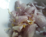 A picture of step 3 of Gizzard.