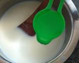 Homemade Mozzarella Cheese recipe step 3 photo