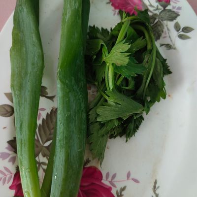 Langkah 5