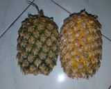 Foto langkah ke 1 dari resep Nastar wisjman home made.