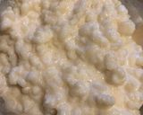 Foto del paso 1 de la receta: Yogurt natural de búlgaros de leche