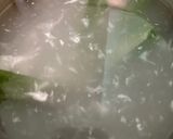 Gambar langkah 1 resipi Jelly Kelapa SnooQies.