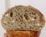 Foto langkah ke 20 dari resep Moringa Jinten Hitam Italian Herbs Cheese Sourdough Bread (Oven Tangkring).