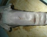 Hình bước làm 1 của món Lưỡi heo luộc