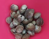 Foto langkah ke 1 dari resep Kerang dara rebus.