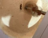 Foto del paso 2 de la receta: Mousse de Manjar (dulce de leche)
