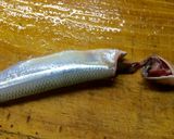 Foto del paso 12 de la receta: Técnicas de cocina: Limpiar el pescado