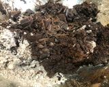 Hình bước làm 2 của món Brownie Mix Cookies 🍪