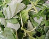 Foto langkah ke 2 dari resep Sayur Bayam (simple) 😬.
