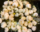 Foto del paso 1 de la receta: Cazuela de gulas, gambas y almejas