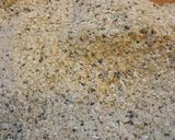 Foto del paso 1 de la receta: Crackers de sarraceno y quinoa sin gluten veganas