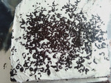 Brownies "Amanda" KW Super