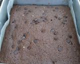 Foto langkah ke 8 dari resep Brownies panggang putih telur #Selasabisa.